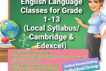 English Literature & Language Classes-Homevisiting/Online